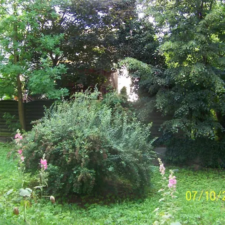 Zielony Apartament, Kielce, Targi, Centrum Exterior photo