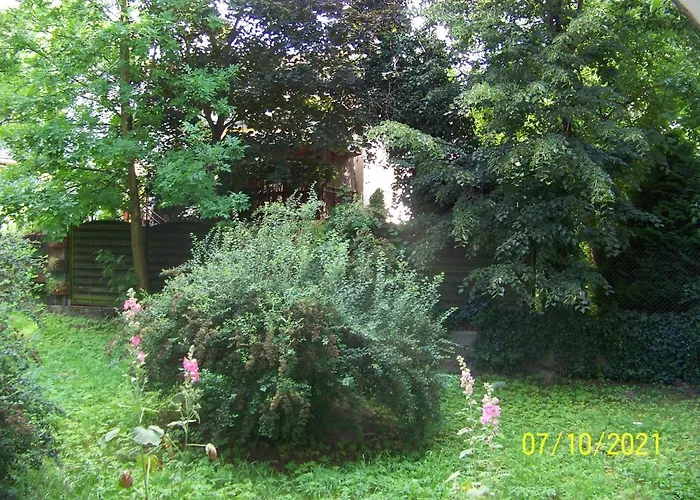 Zielony Apartament, Kielce, Targi, Centrum