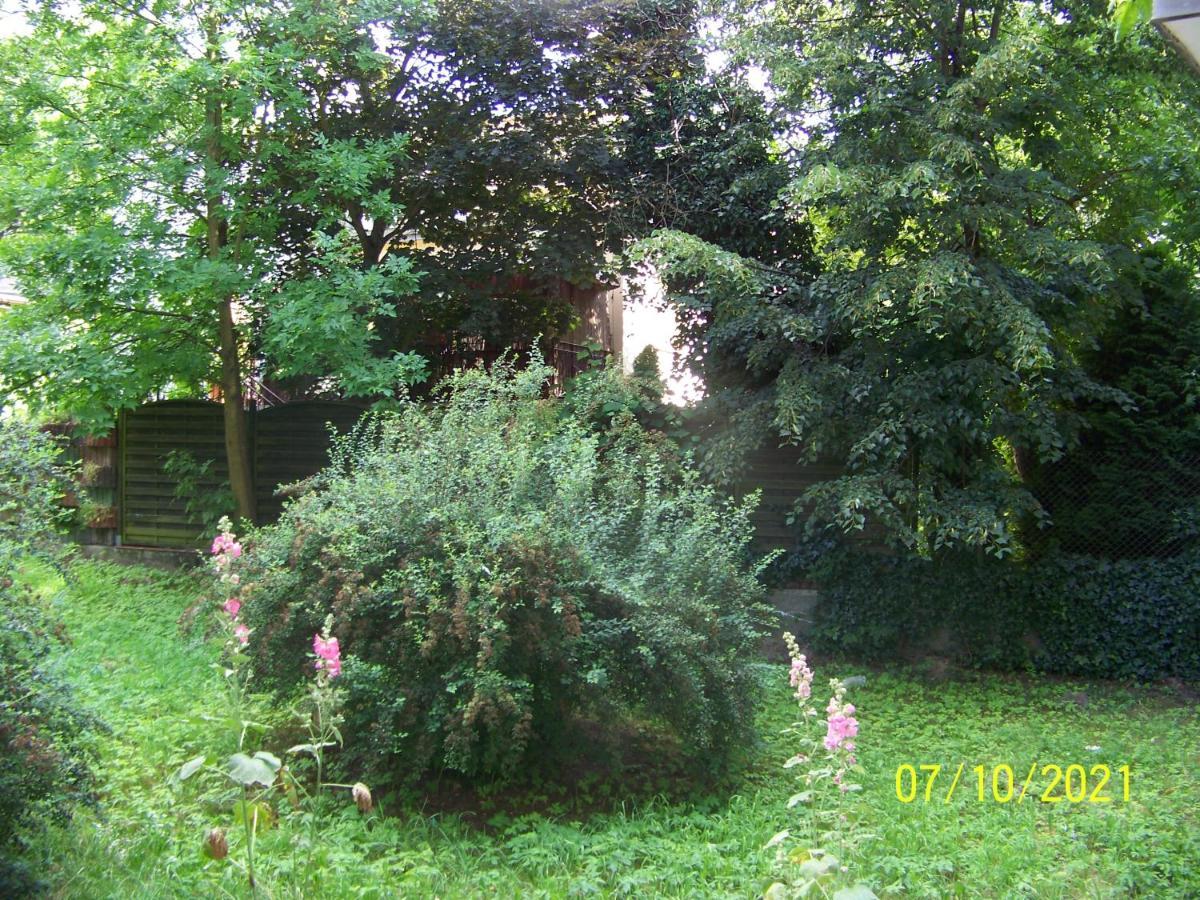 Apartament, Kielce, Targi, Centrum * Kielce