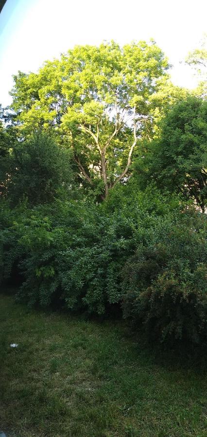 Apartament, Kielce, Targi, Centrum Kielce