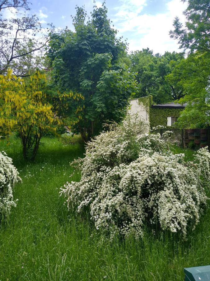 Apartament, Kielce, Targi, Centrum Apartment *